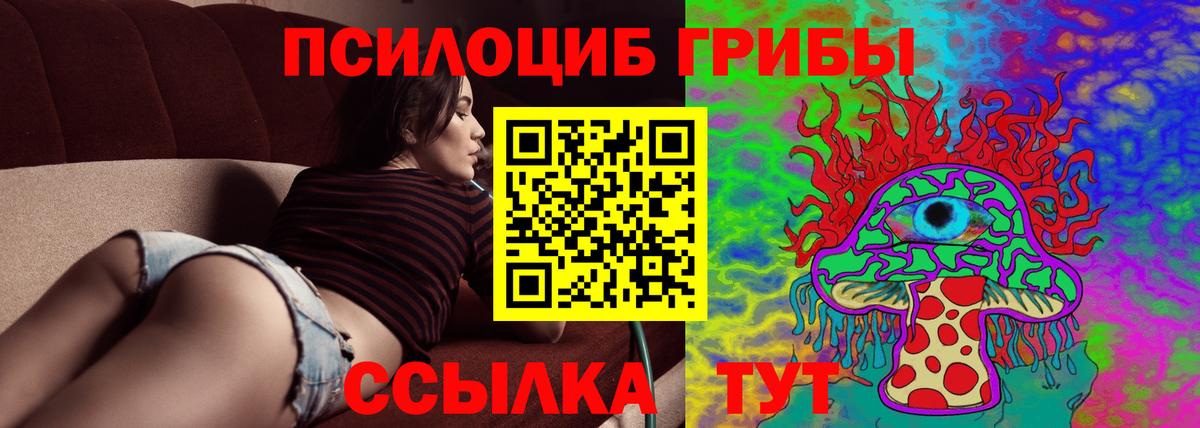 Галлюциногенные грибы MAGIC MUSHROOMS  хочу наркоту  Вход с VPN  Шадринск  Псилоцибиновые грибы MAGIC MUSHROOMS 