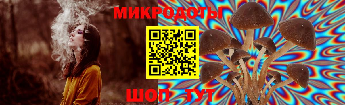 Псилоцибиновые грибы Psilocybine cubensis Шадринск
